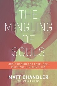 Mingling of Souls-Dating Conference Discussion Guide (pdf)