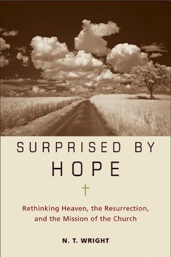 Surprised by Hope - Full Series - Digital Purchase